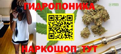 мяу мяу мука Дубна