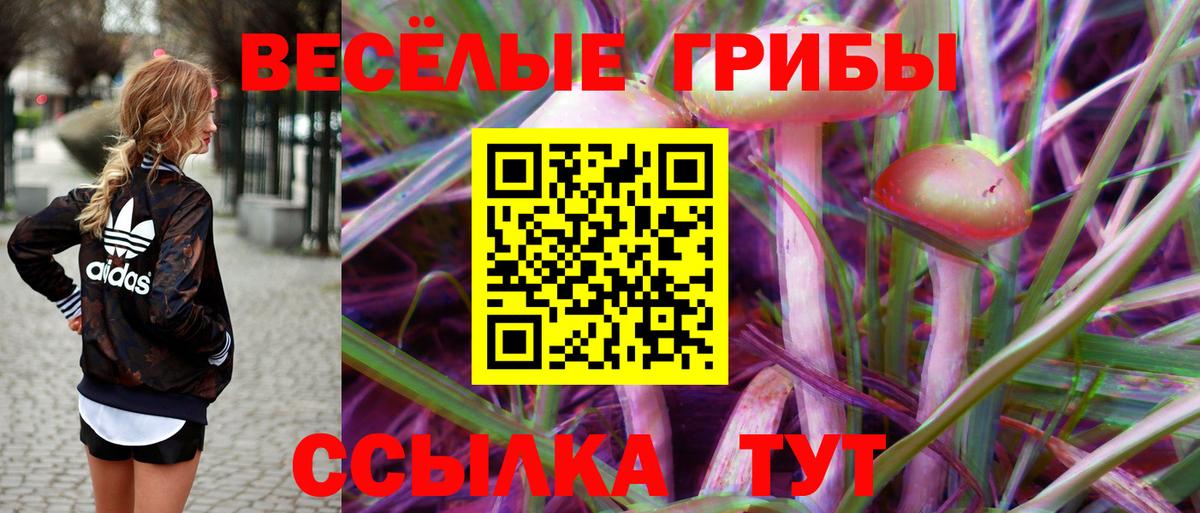 Галлюциногенные грибы MAGIC MUSHROOMS Семилуки