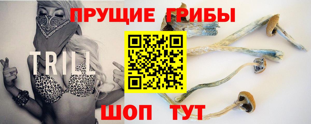 Семилуки  Псилоцибиновые грибы Psilocybine cubensis  Вход с VPN 